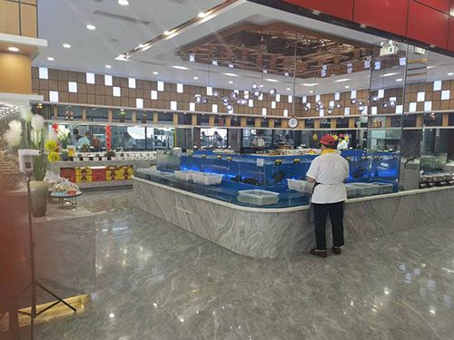 �c(di��n)���鿴Ԕ��(x��)��Ϣ��(bi��o)�}�����g��Ƭ ��x�Δ�(sh��)��1241