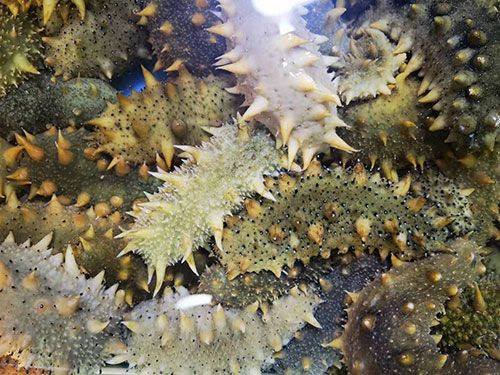 �c(di��n)���鿴Ԕ��(x��)��Ϣ��(bi��o)�}����ɫ��Ʒ ��x�Δ�(sh��)��2448